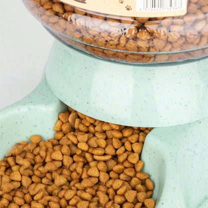 SUVETTE Automatic Pet Food Dispenser Bowl Close Up View