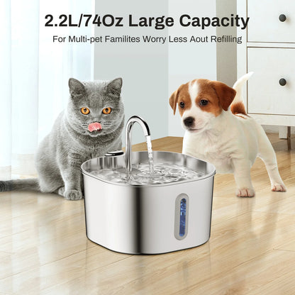SUVETTE 2.2L pet water fountain with cat and dog